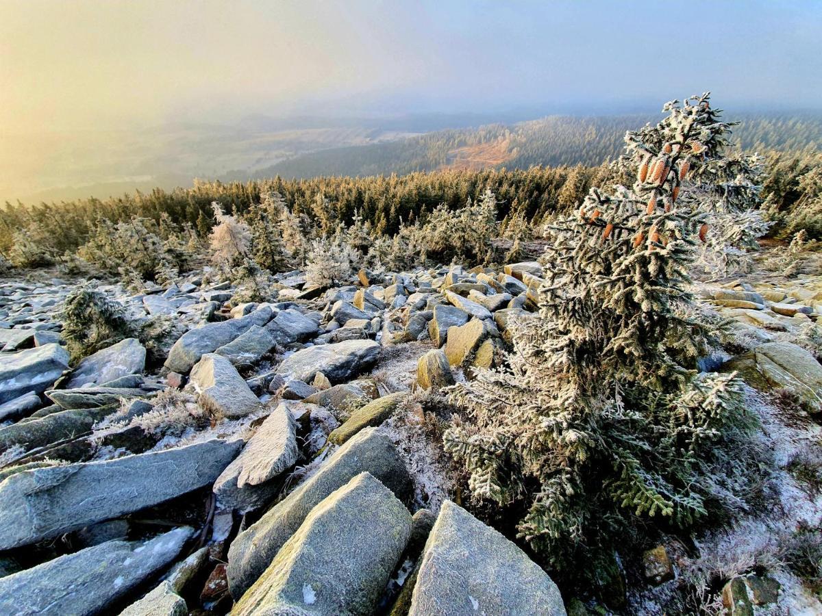 Chata Waliszów Nowy Waliszow Exterior foto