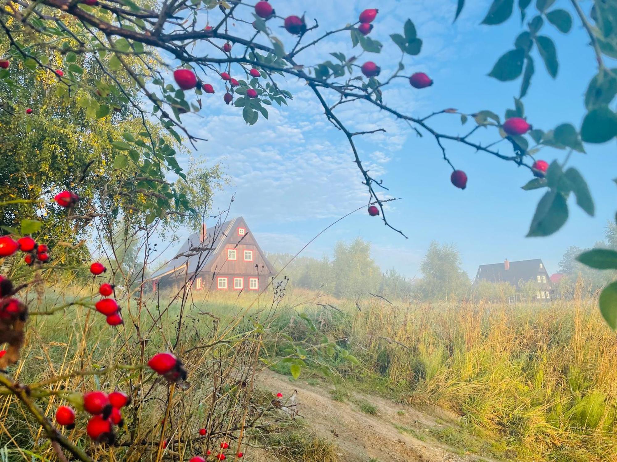 Chata Waliszów Nowy Waliszow Exterior foto